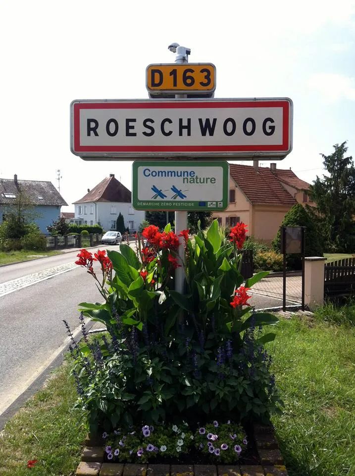 Ortsschild Rœschwoog an der D163, mit dem Schild „Commune nature“ und Blumen am Ortseingang.
